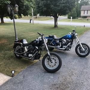 Meet your Posher, Jared